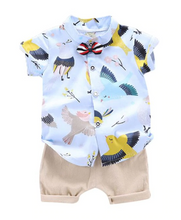 Carregar imagem no visualizador da galeria, Conjunto Boy Pássaros - Tamanhos de 3 meses a 4 anos