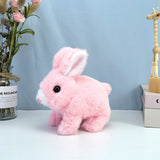 Pulito™ – The Interactive Bunny