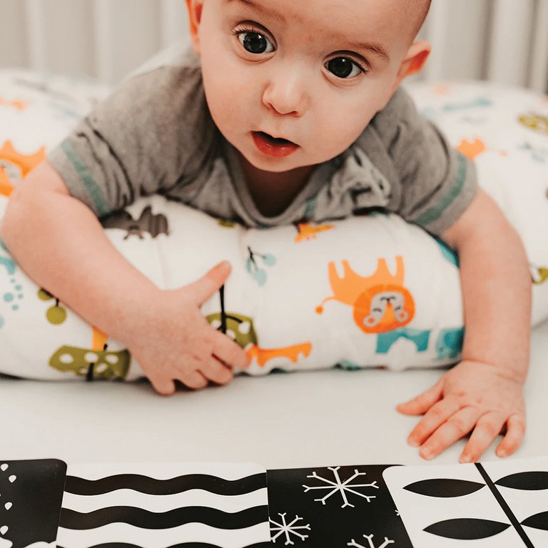 Flashcard Kit – Cognitive Development for Babies