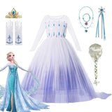 Elsa Snow Queen Costume Dress Set with Wig and Princess Accessories