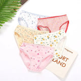 Set of 4 Kids Panties