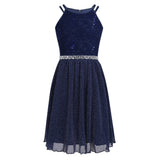 Pink Sleeveless Lace Dress for Girls