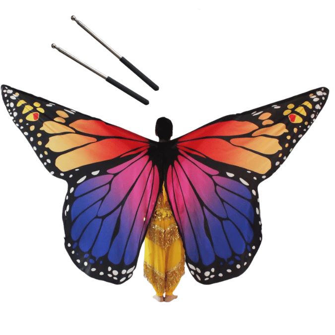 Set of Orange and Purple Butterfly Wings + Stick, for dancing