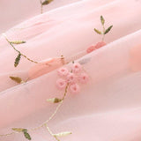Princess Dress with Floral Embroidery