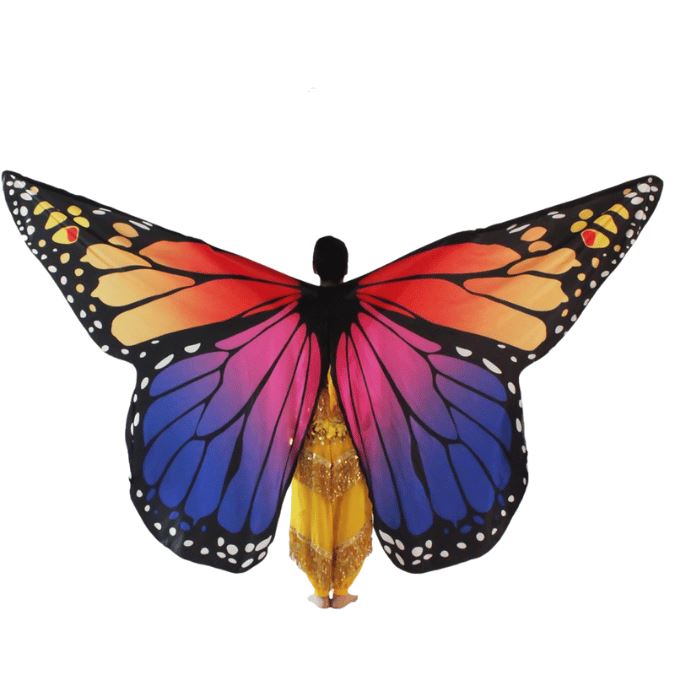 Set of Orange and Purple Butterfly Wings, for dancing.