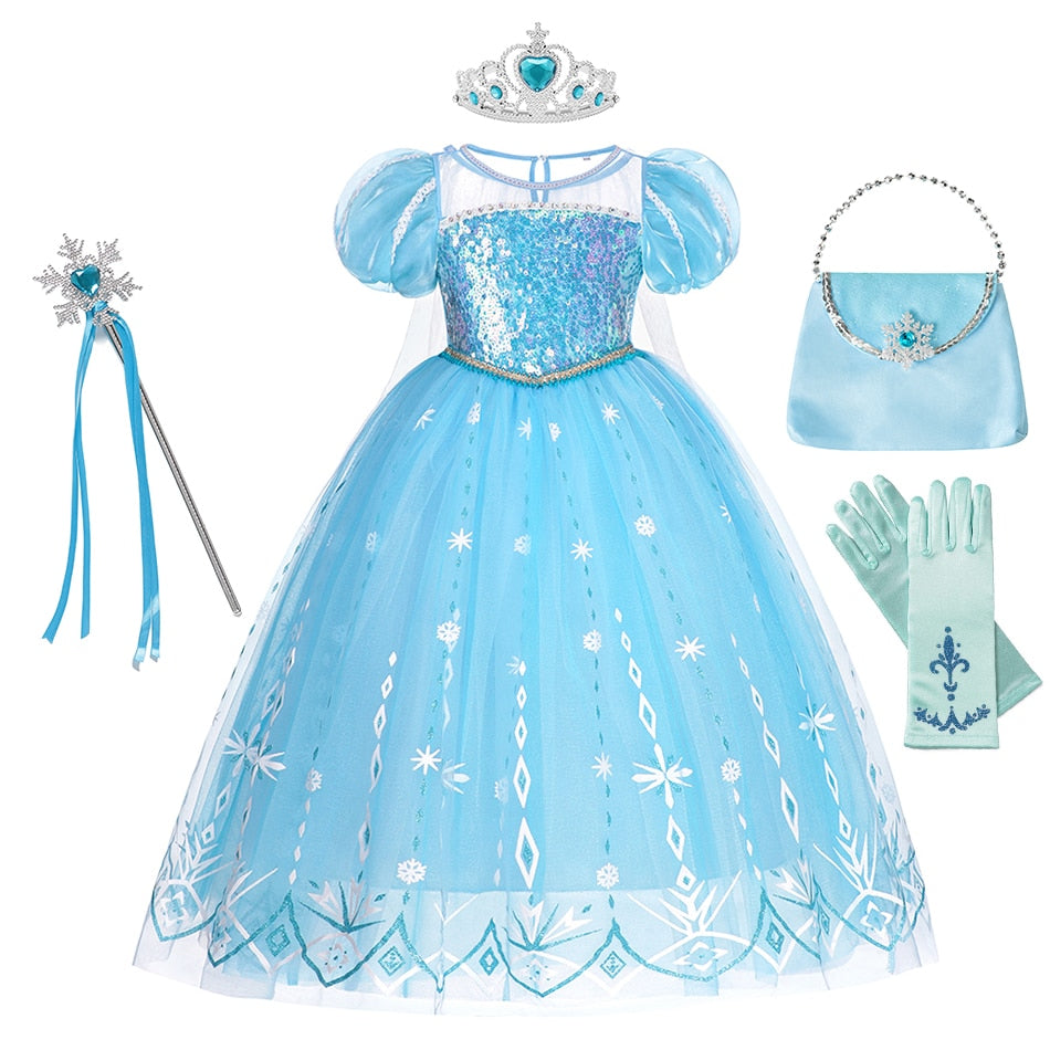 Special Cinderella Costume