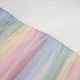 Long-sleeved dress with colorful tulle skirt.