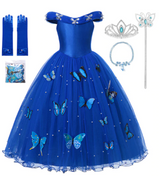 Cinderella Costume – The New Cinderella