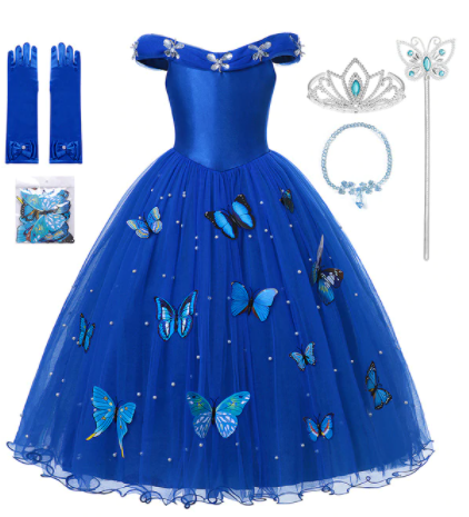 Cinderella Costume – The New Cinderella