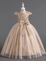 Elegant Lace Dress for Kids, Perfect for Parties and Events