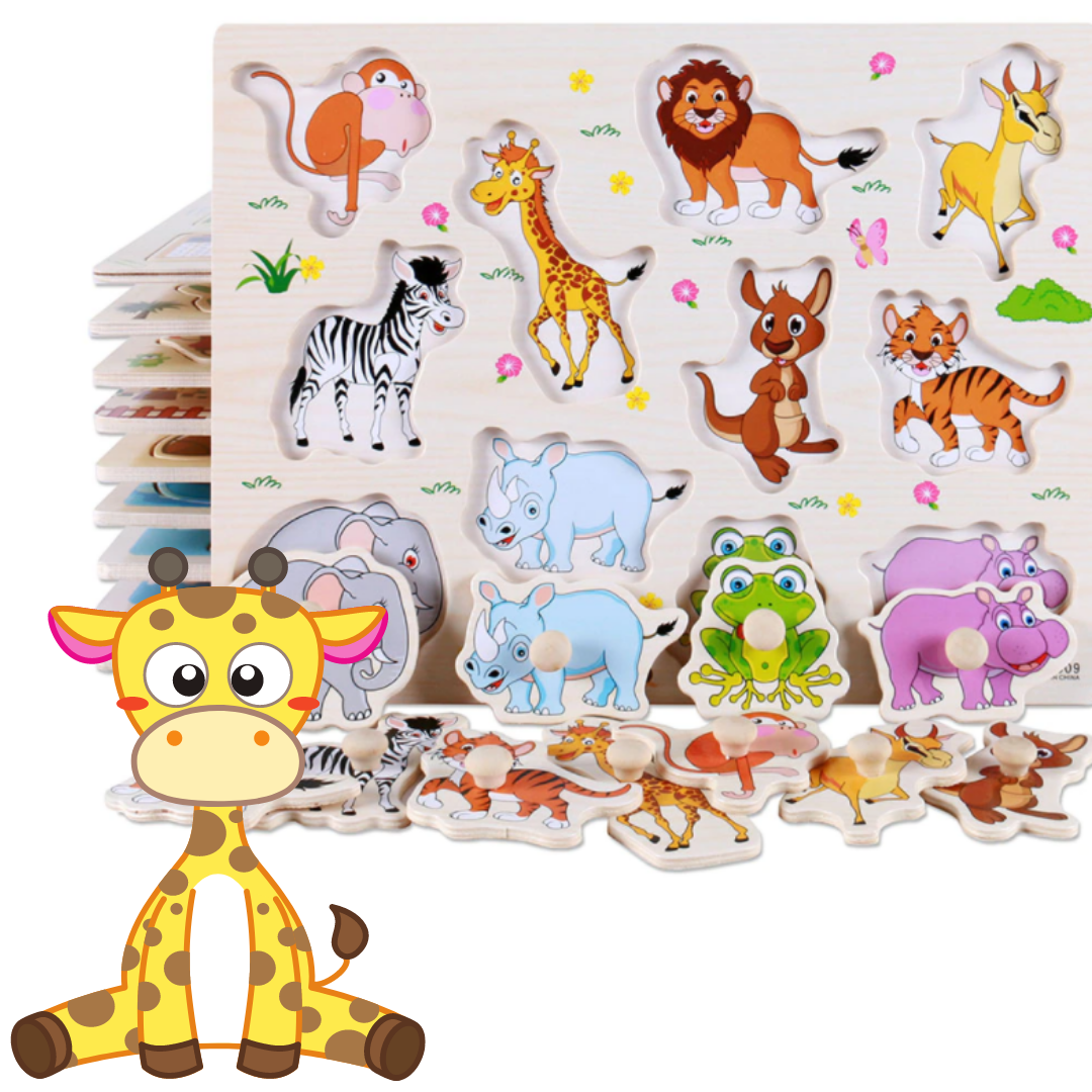 Educational Toy: 3D Puzzle and Learn