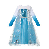 Kids Ice Princess Costume Dress Set with Long Sleeves and Accessories – Frozen Style