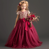 Elegant Lace Dress for Kids, Perfect for Parties and Events