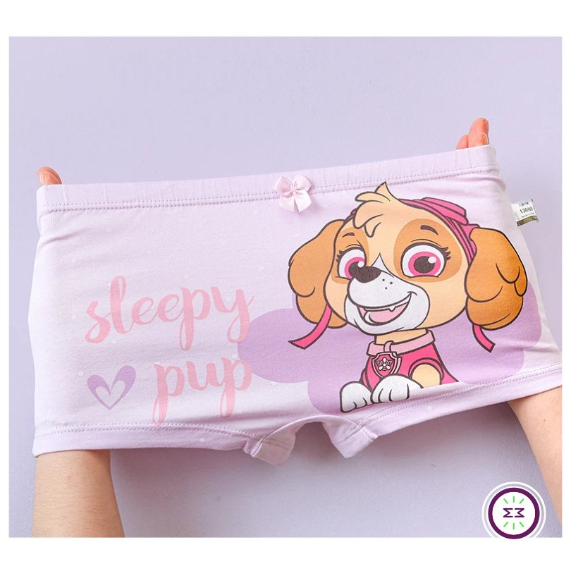 Set of 4 Paw Patrol Kids Panties -