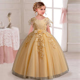 Elegant Princess Party Dress for Girls, Ages 4-12, with Embroidery.