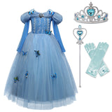 Cinderella Dress with Royal Ball Gown Sleeves