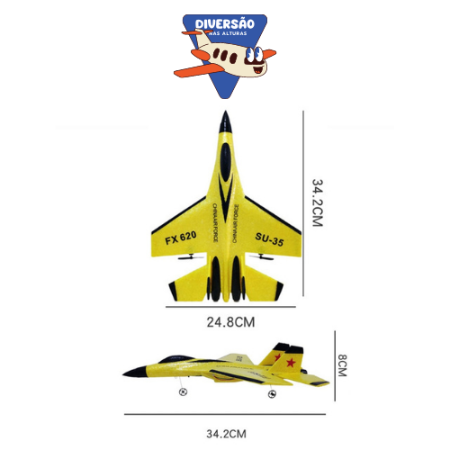 Professional Remote Control Airplane – Aircraft