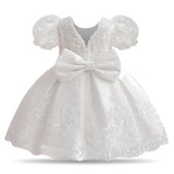 Floral Embroidered Dress for Babies