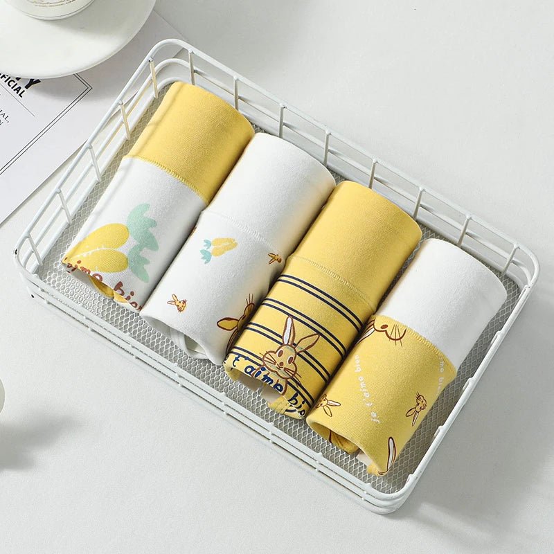 Pack of 4 Teen Panties with Antibacterial Fabric