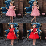 Elegant Party Dress in 5 Colors