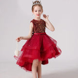 Kids Party Dress with Lace and Sequins