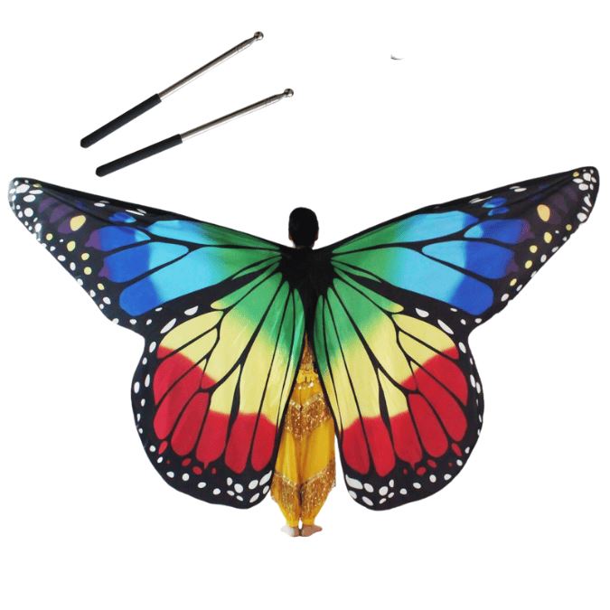 Rainbow Butterfly Wings Set + Wand, for dancing
