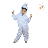 Kids Animal Costume: Rabbit