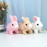 Pulito™ – The Interactive Bunny
