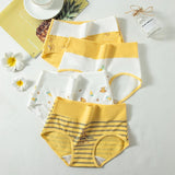 Pack of 4 Teen Panties with Antibacterial Fabric