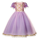 Rapunzel Lavender Costume Dress with Decorative Bodice - product view