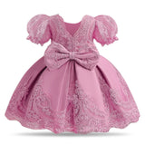 Floral Embroidered Dress for Babies