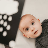 Flashcard Kit – Cognitive Development for Babies