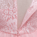 Kids Lace Dress with Long Sleeves