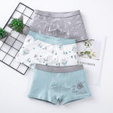 Set of 3 Kids Underwear -
