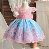 Floral Embroidered Dress for Babies