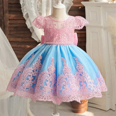 Vestido Floral Bordado para Bebês