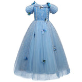 Luxury Cinderella Costume Dress