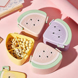 Watermelon Lunch Box for School Lunchbox