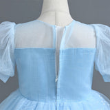 Luxury Kids Party Dress with Sequins and Flowers, perfect for First Communion, Bridesmaid, Parties, Weddings, and Birthdays.