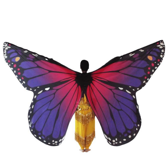 Purple Butterfly Wing Set, for dancing