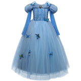 Luxury Cinderella Costume Dress II