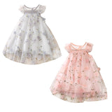 Princess Dress with Floral Embroidery