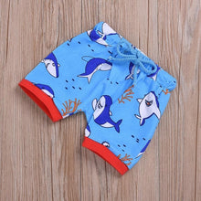 Carregar imagem no visualizador da galeria, Conjuntos Estampas Dino e Baby Shark - Tamanhos 0 a 3 anos
