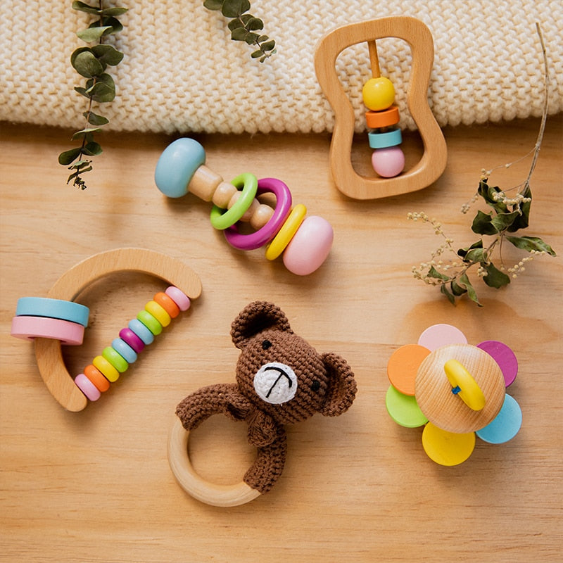 Montessori Baby Development Toy Kit