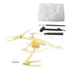 Upload image to gallery viewer, Dinosaur World Fossil Excavation Kit Toy 
