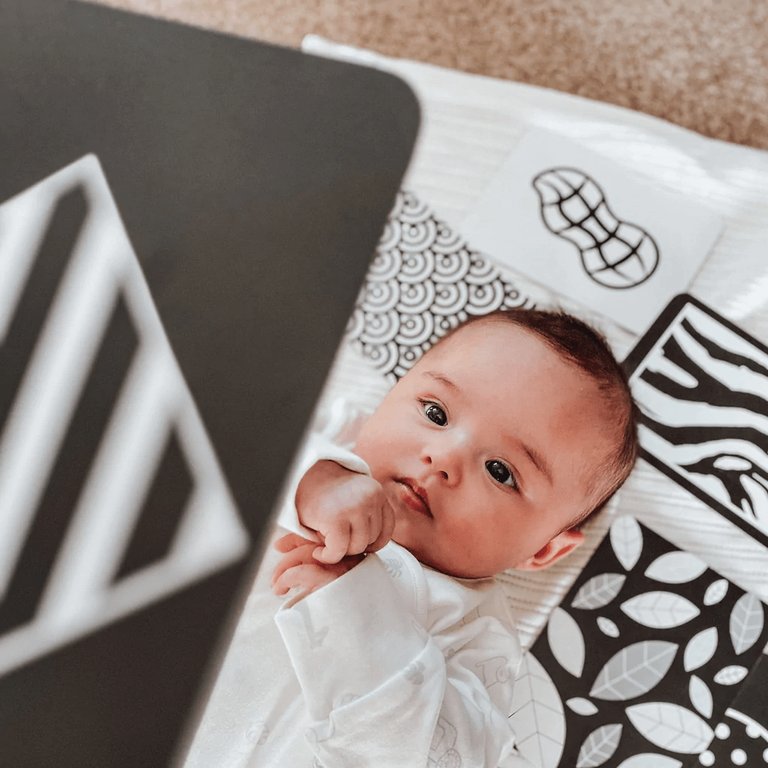 Flashcard Kit – Cognitive Development for Babies