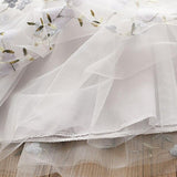 Princess Dress with Floral Embroidery
