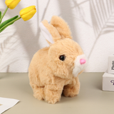 Pulito™ – The Interactive Bunny