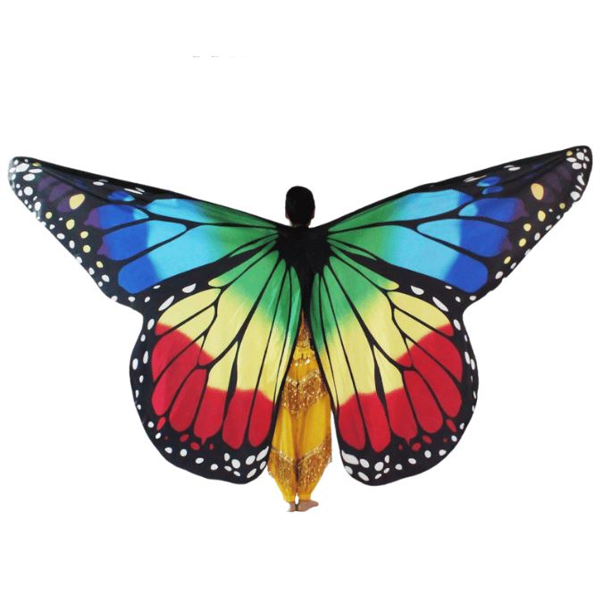 Rainbow Butterfly Wing Set, for dancing