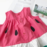 Delicious Watermelon Dress